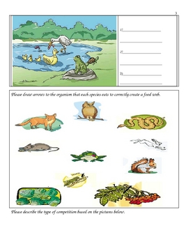 Preview of Ecology Interactions Unit Printable Work Bundle