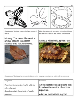 What Relationship Do Species Have? Organizer for 5th - 10th Grade