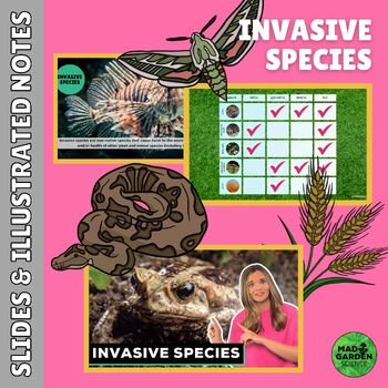 Preview of Ecology: Invasive Species Slides & Illustrated Notes | Differentiated