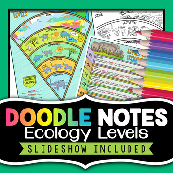Preview of Ecology Levels Doodle Notes - Science Doodle Notes Activity