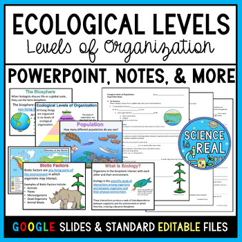 Preview of Ecological Levels of Organization PowerPoint, Notes, Questions, and Kahoot