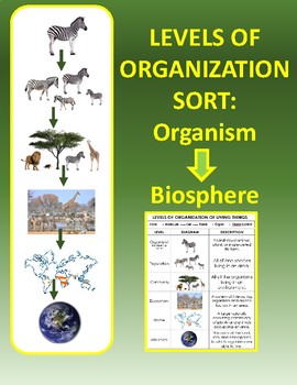 Preview of Ecology Levels of Organization Sort: Organism to Biosphere, cut and paste