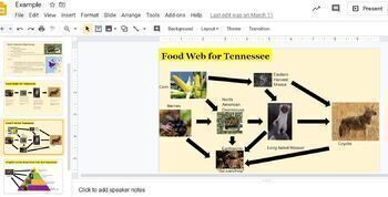 Preview of Ecology Mini Project (Free, modify to your state!) Perfect to post inGoogleClass