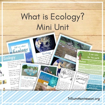 Preview of Ecology Mini Unit
