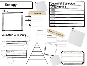 Preview of Ecology One-Pager