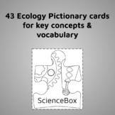 Ecology Pictionary Cards - Review