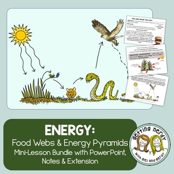 Preview of Food Chains Food Webs and Energy Pyramids - PowerPoint, Notes and Extension