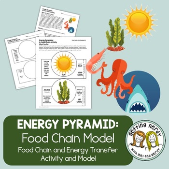Preview of Energy Pyramid Model Activity for Ecosystems 