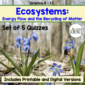 Preview of Ecosystems Quiz Set - Matter Recycling and Energy Flow in Ecosystems