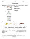 Ecology Quiz (Food Webs, Energy Pyramids, Ecosystems, and more)