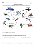 Ecology Quiz (Food Webs and Trophic Levels)