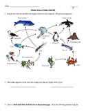 Ecology Quiz (Food Webs and Trophic Levels) - Modified Ver