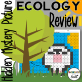 Ecology Review Hidden Mystery Picture