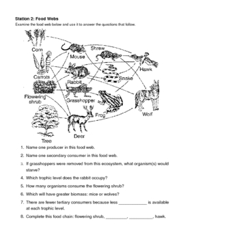 Ecology Review Stations by grubbmcc | Teachers Pay Teachers
