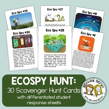 Preview of Ecology Scavenger Hunt Review Activity
