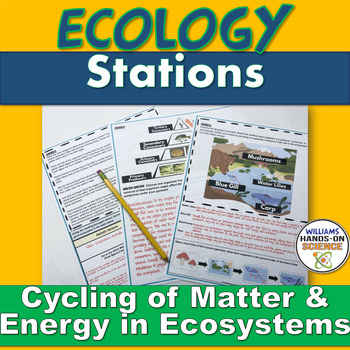 Preview of Ecology Stations Activity Food Webs Trophic Pyramid Ecosystems Includes Spanish