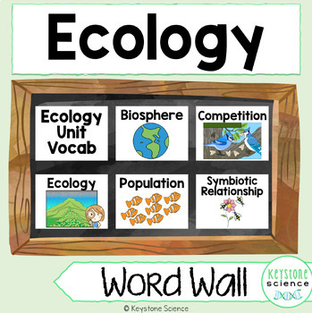 Preview of Ecology, Symbiotic Relationships Biology Word Wall and Vocabulary Poster ELL ESL
