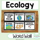 Ecology, Symbiotic Relationships Biology Word Wall and Voc