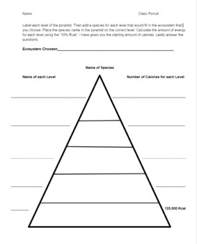 Trophic Levels - Graphic Organizer