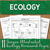 food web biology worksheet answer key