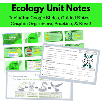 Preview of Ecology Unit Notes: Population Dynamics, Symbiosis, Food Webs, & Carbon Cycle