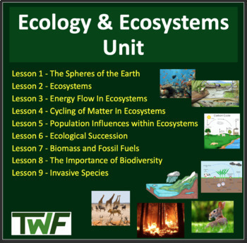 Preview of Ecology Unit Bundle - Sustainable Ecosystems - Lessons, Activities, Assessments