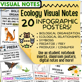 Preview of Ecology Visual Notes Infographics 20 Pack Ecological Relationships Middle School