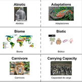 Ecology Vocabulary Flashcards (English/Spanish)