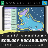 Ecology Vocabulary Pixel (mystery) Art- Digital lesson