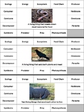 Ecology Vocabulary Practice Bundle