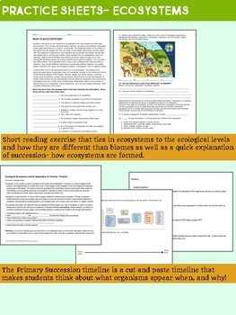 Ecosystems Worksheet Bundle By Biology Roots Teachers Pay Teachers