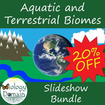 Terrestrial Biomes