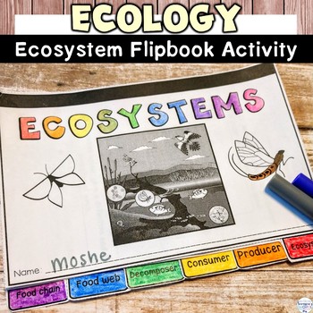 Preview of Ecology and Ecosystem Review Activity