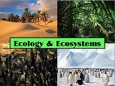 Ecology and Ecosystems PPT presentation