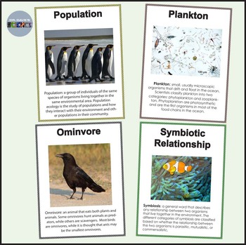 Ecology and Environmental Science Posters by Dr Dave's Science | TpT