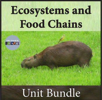 Preview of Ecosystems Interactions and Food Chain Unit Bundle 5th Grade NGSS Science