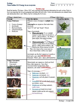 Preview of Ecology lesson 2-4, Energy flow, Food chain, food web & ecological pyramid