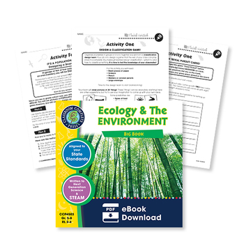 food web worksheet biology