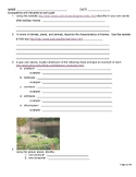 Ecosystem and Interactions web quest