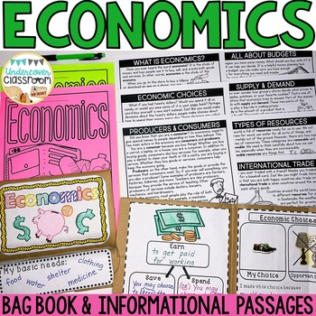 Preview of Economics Bag Book & Passages | Economics Interactive Notebook