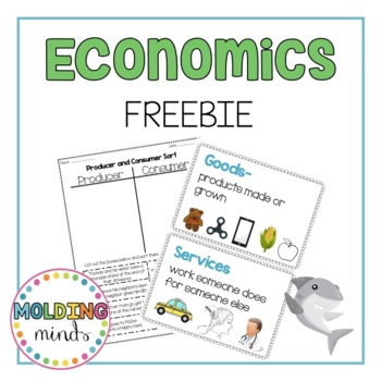 Preview of Economics Freebie! Vocabulary Cards, Sorts and Graphic Organizers!