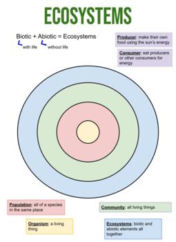 Preview of Ecosystem Anchor Chart/Circle Map