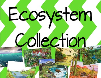 Ecosystem-Biome Collection by Heather Van Houten | TpT