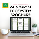 Ecosystem Brochure Bundle