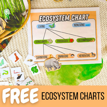 Ecosystem Chart for Third Grade Science: Ecosystem Flow Anchor Chart