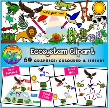 Preview of Ecosystem Clipart (Energy Pyramid, Food Chain, Food Web)