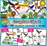 Ecosystem Clipart (Energy Pyramid, Food Chain, Food Web)
