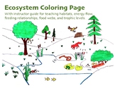 Ecosystem Coloring Sheet