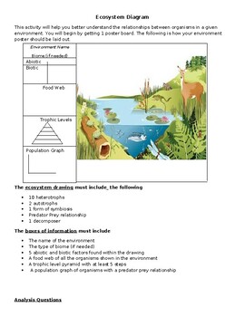 ecosystem diagram for kids