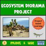 Ecosystem Project Diorama